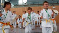 20130623_Judo_SThuer_b002 .jpg