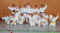 20130623_Judo_SThuer.jpg